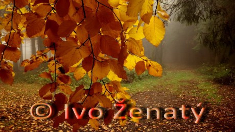 Vysočina Podzim 02_MPR