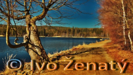 Velký pařezitý rybník 04_MP