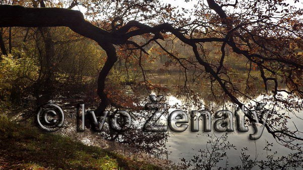 IMWG6803c_rZ_
