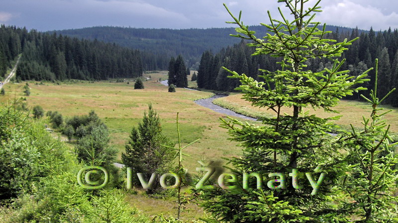 Modrava _Okolí 01 MP