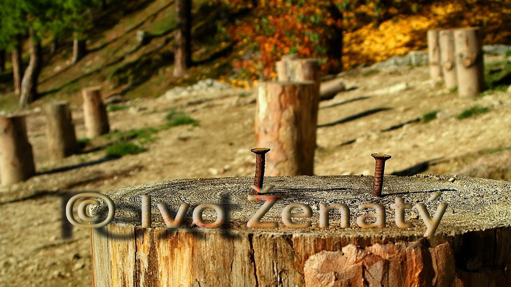 Rabi _ Hrebiky 01_resize
