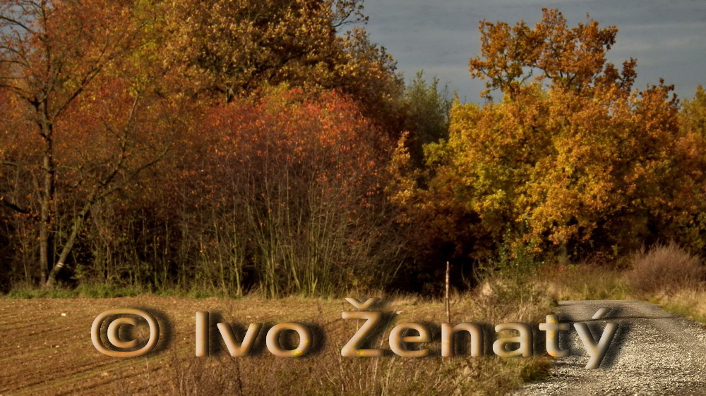 IMWG0357e_resize