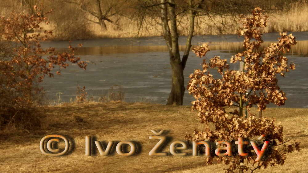 IMWG4066b2_resize