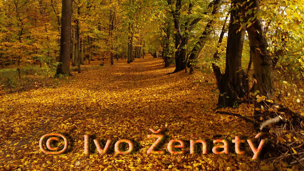 Praha _ Milíčovský les MPR
