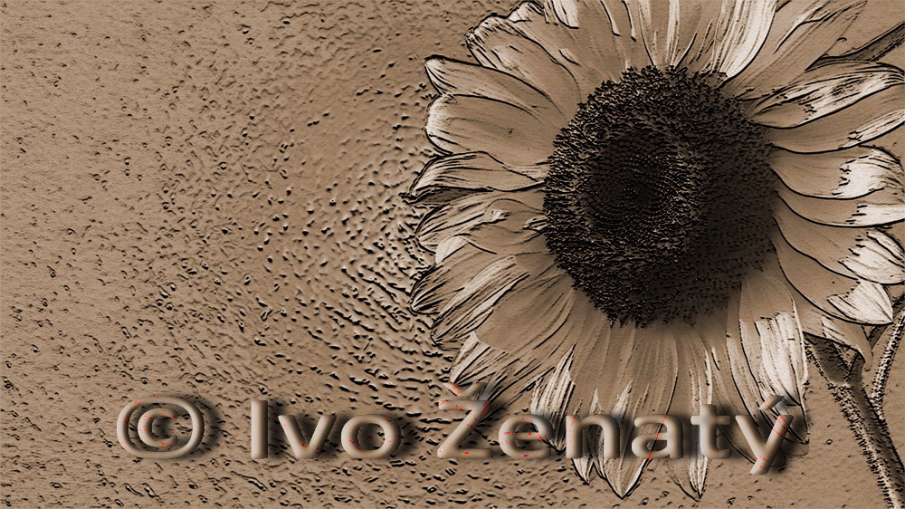 Slunečnice 11e