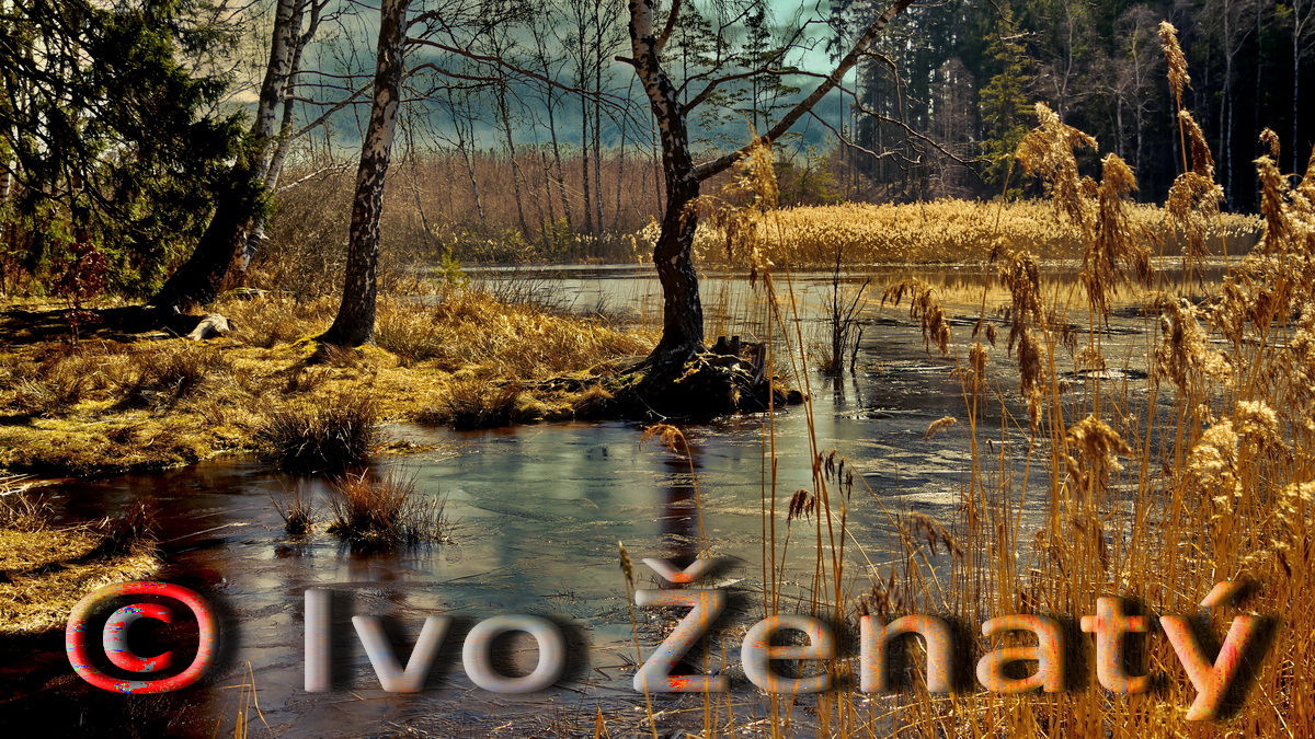 Velký pařezitý rybník_MP 01