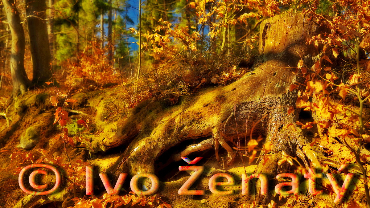 Velký pařezitý rybník_MP 02