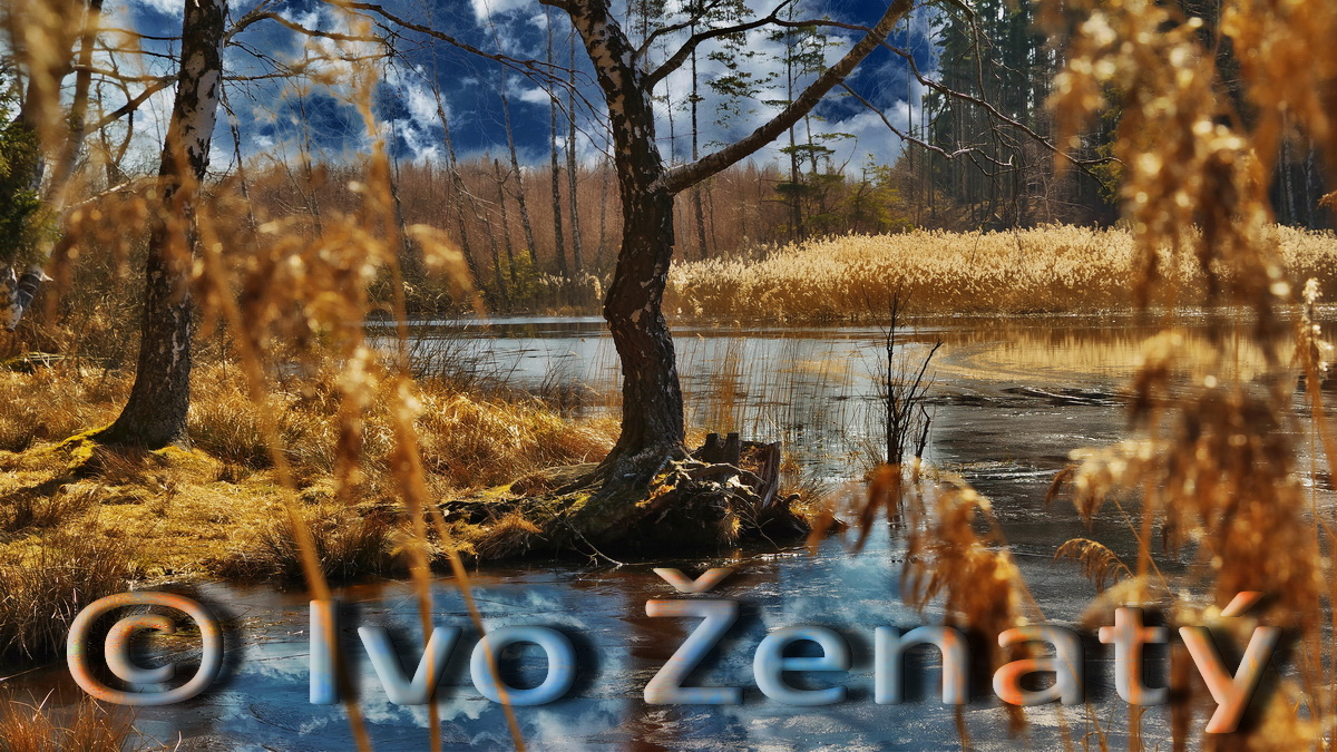 Velký pařezitý rybník 03_MP